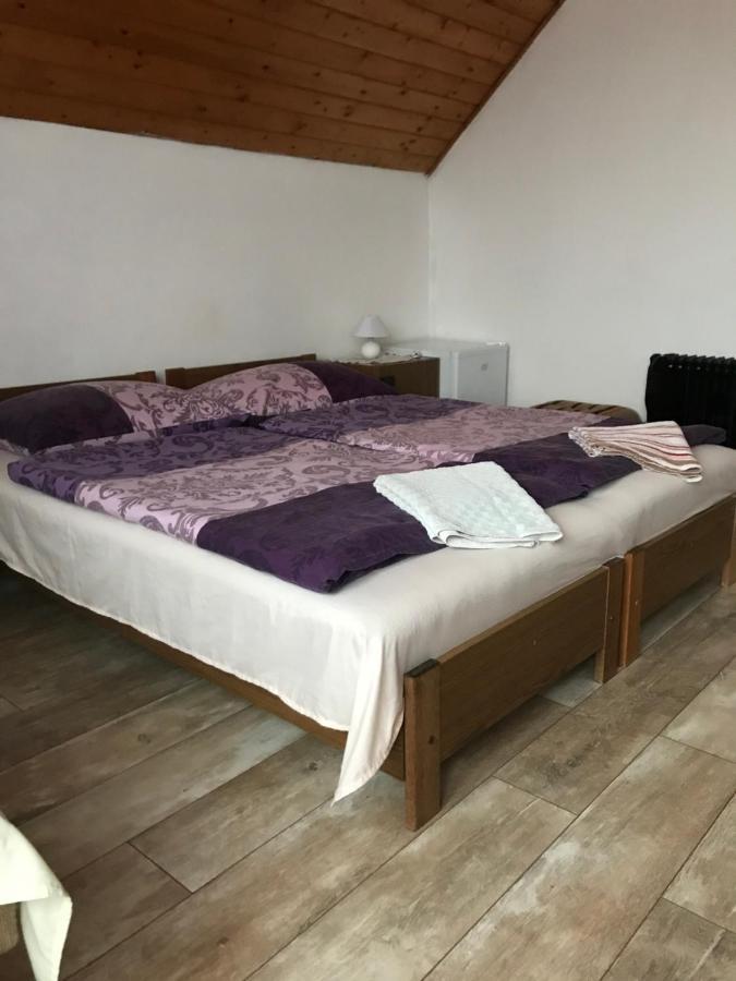 Ilona Panzio Hotel Balatonlelle Ngoại thất bức ảnh
